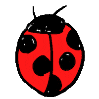 Ladybug Sticker by koimoffee