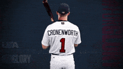 Pro GIF by USA Baseball