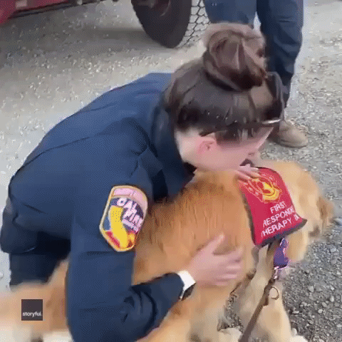 Therapy Dog Comforts Firefighter at Dixie Fire Base Camp