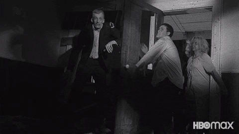 Night Of The Living Dead Zombies GIF by HBO Max
