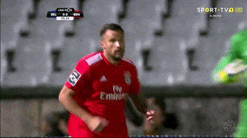 sl benfica slbgifs GIF by Sport Lisboa e Benfica