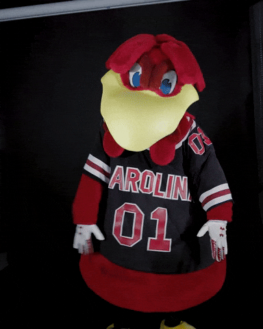 Dance Dancing GIF by University of South Carolina