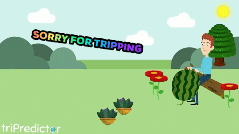 triPredictor giphygifmaker sorry trip mistake GIF