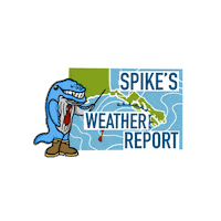 Snow Sun Sticker by University of Alaska Southeast