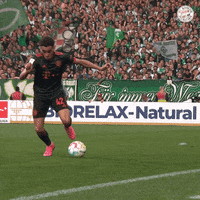 Football Soccer GIF by FC Bayern Munich