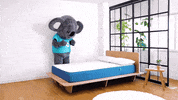koalamattress koala コアラ ココちゃん コアラマットレス GIF