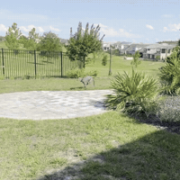 Dog Running GIF