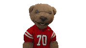 cornell university touchdown Sticker