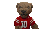 cornell university touchdown Sticker