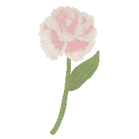 peachjohn flower flower pink ピーチジョン peachjohn Sticker