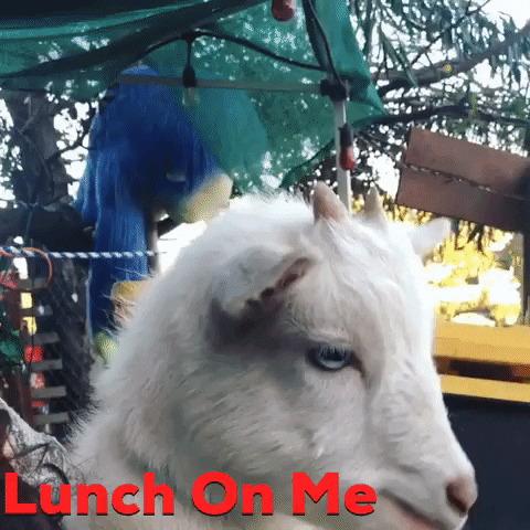 Foodie Goat GIF by LaRayia