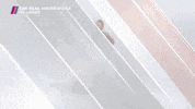 Rholagos GIF by Showmax