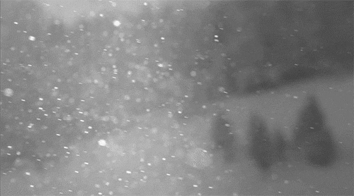 Video gif. Snowflakes float past us, sparkling in the light. A vague gray landscape of pine trees and snow-covered hillside is in the distance.
