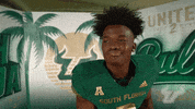 South Florida Go Bulls GIF by USF Athletics