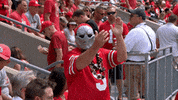Ohio State Fan GIF by Ohio State Athletics