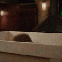 Nick Offerman GIF by Guinness US