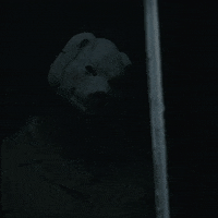 Pig Body Image GIF by ALTER – The Best Horror Films