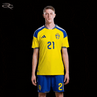 Fifa World Cup Uefa GIF by Respective