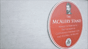 Stadium GIF by Cliftonville Football Club