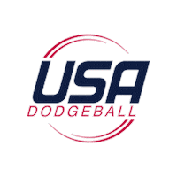 Usa Usadodgeball Sticker by WeHo Dodgeball