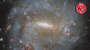 Bar Spinning GIF by ESA/Hubble Space Telescope