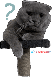 Who Are You Kitty Sticker