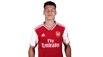 Celebrate Premier League Sticker by Arsenal