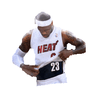 lebron james STICKER by imoji