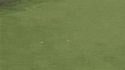 happy winner GIF by The Evian Championship