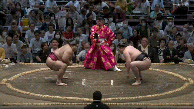 TZ85 giphyupload sumo 2023 aki basho takayasu GIF