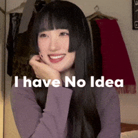 No Idea Idk GIF
