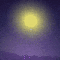 Trick Or Treat Halloween GIF by Magic Eden