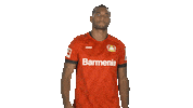 Waving Come On Sticker by Bundesliga