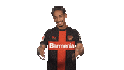 Waving Come On Sticker by Bundesliga