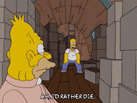 homer simpson episode 6 GIF