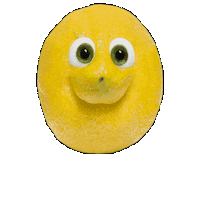 Happy Fun Sticker