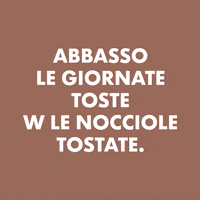 GIF by Ritter Sport Italia