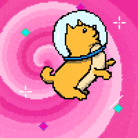 To The Moon Dog GIF
