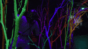 meowwolf meow wolf meowwolf meow wolf santa fe house of eternal return GIF