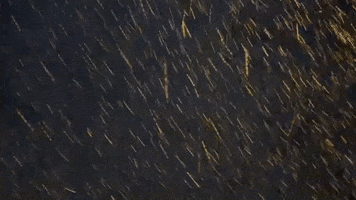 Snow Freezing GIF by This Bushwick Life