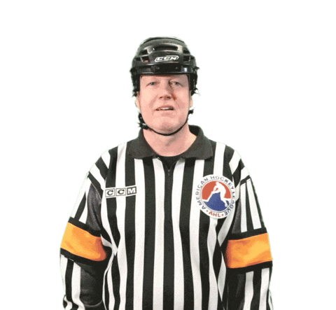 Boomer Sending Kisses Sticker by Springfield Thunderbirds