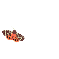Summer Fly Sticker by elzie