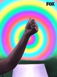 laframe GIF by GIPHY Frame