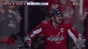 happy ice hockey GIF by NHL