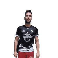 Goal Win Sticker by UHC Sarganserland