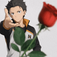 Re Zero Flower GIF