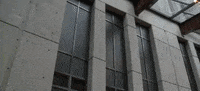 tennessee GIF