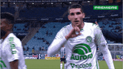 Serie A Bora GIF by Canal Premiere