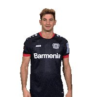 Bayer 04 No Sticker by Bundesliga