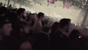 Excited Fun GIF